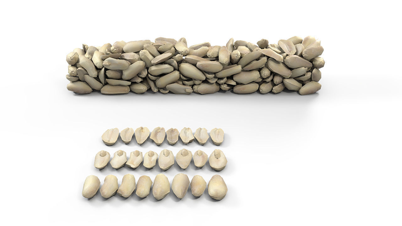 Peanuts PBR pile of pebbles Low-poly 3D model_1