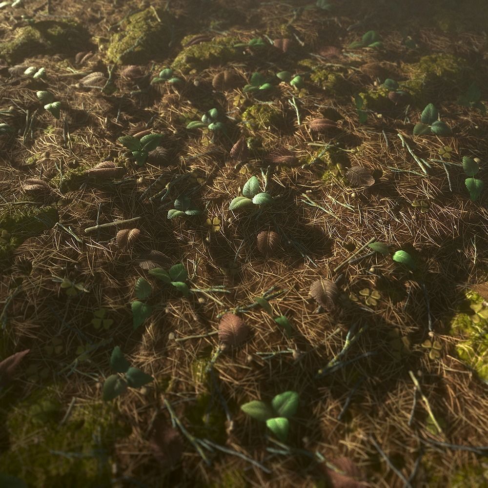 Forest Ground Texture 3D model_3