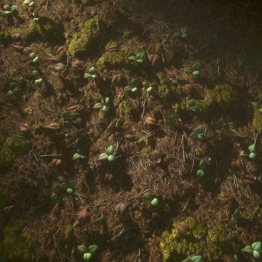 Forest Ground Texture 3D model_2