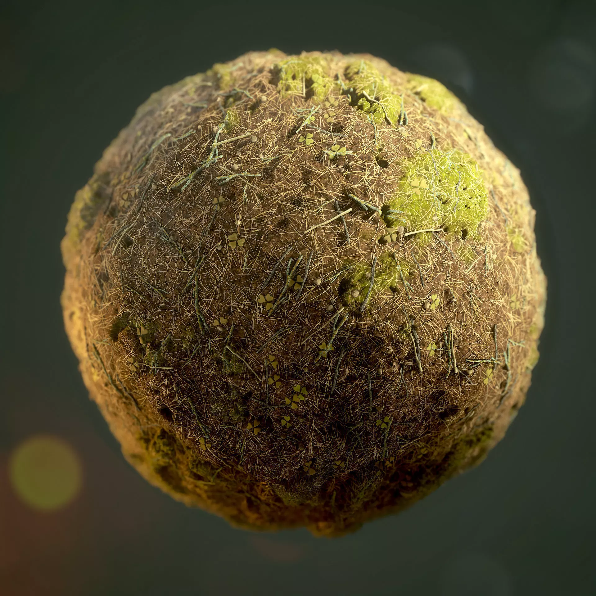 Forest Ground Texture 3D model_0