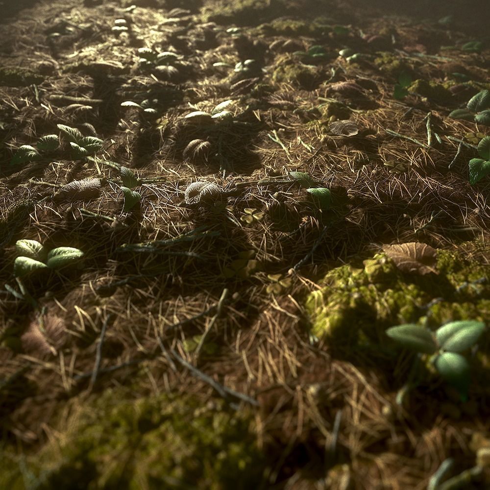 Forest Ground Texture 3D model_1