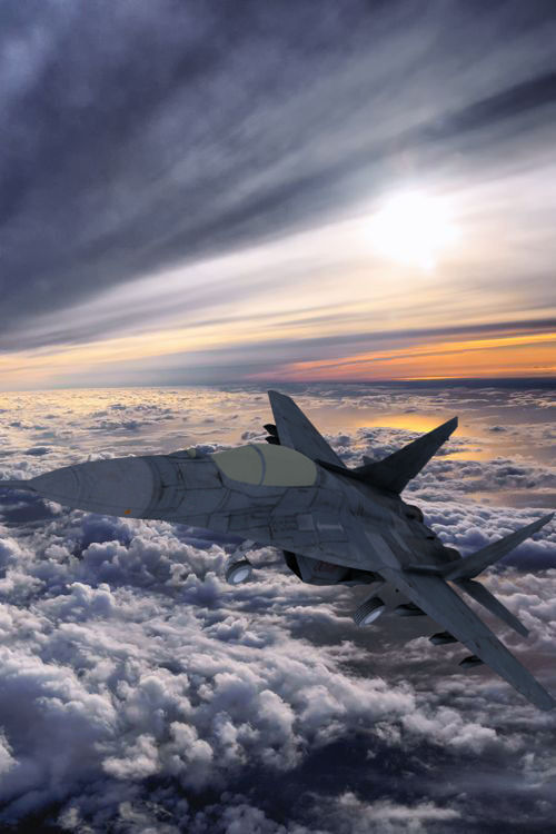 Mikoyan Mig 29 Jet Fighter Aircraft  Low-poly 3D model_4