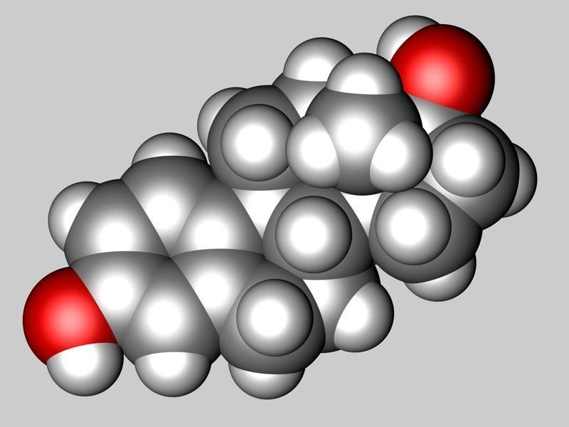 Estradiol molecule 3D model_3