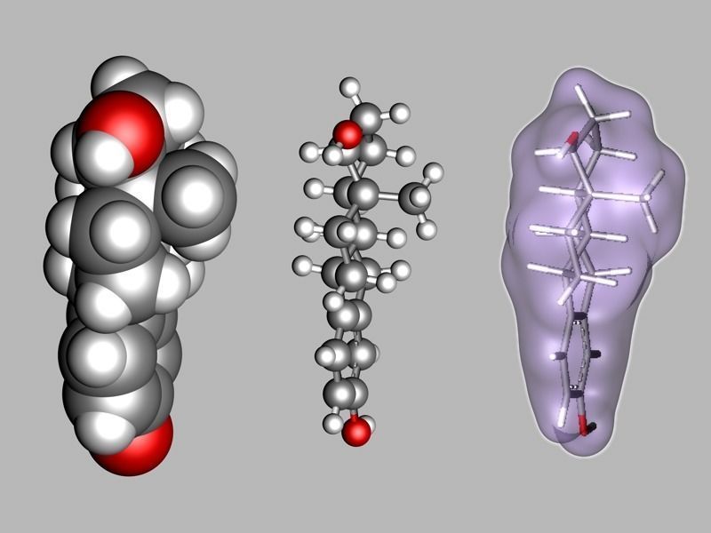 Estradiol molecule 3D model_5