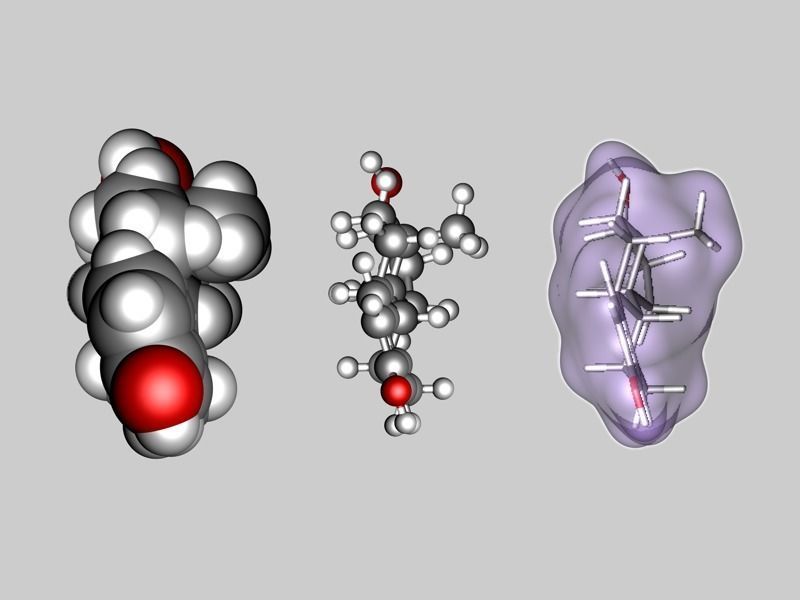 Estradiol molecule 3D model_4
