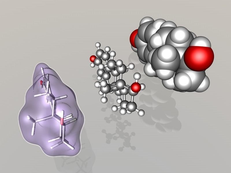 Estradiol molecule 3D model_6