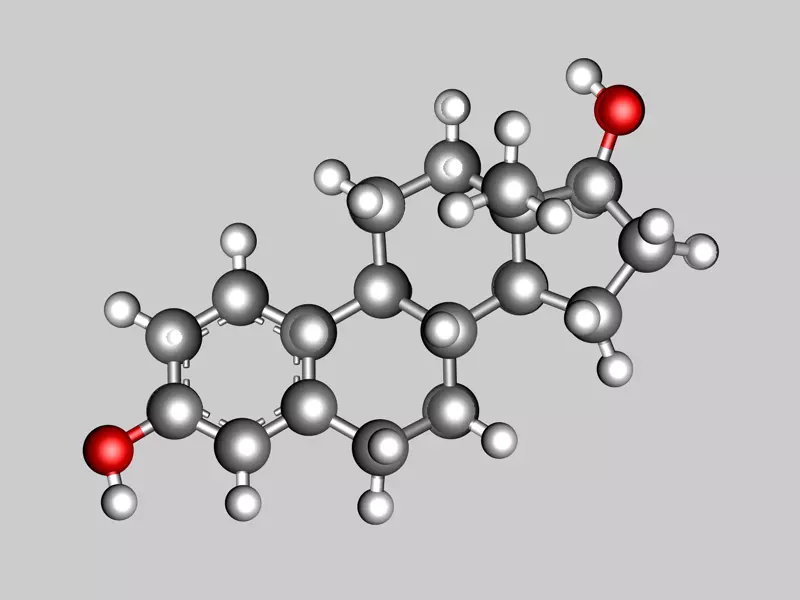 Estradiol molecule 3D model_0