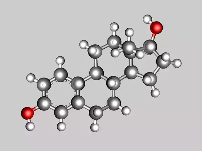 Estradiol molecule 3D model