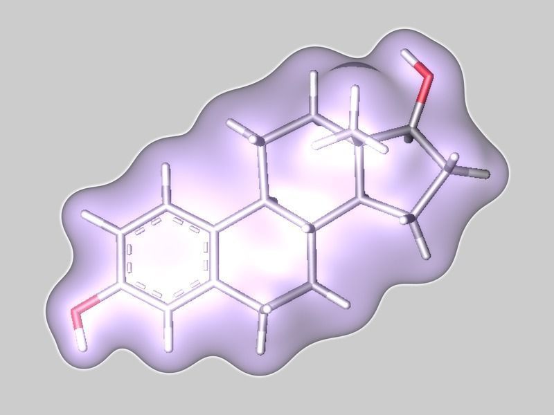 Estradiol molecule 3D model_2