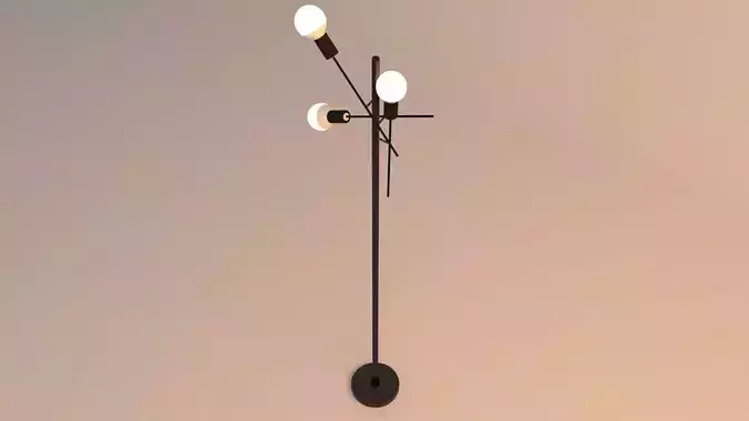 dark floor lamp