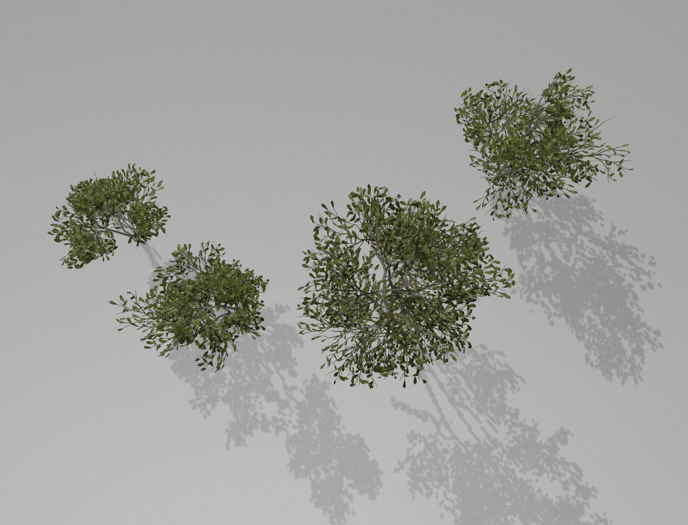 Little trees Low-poly 3D model_1