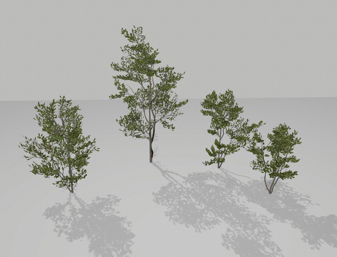 Little trees Low-poly 3D model_2