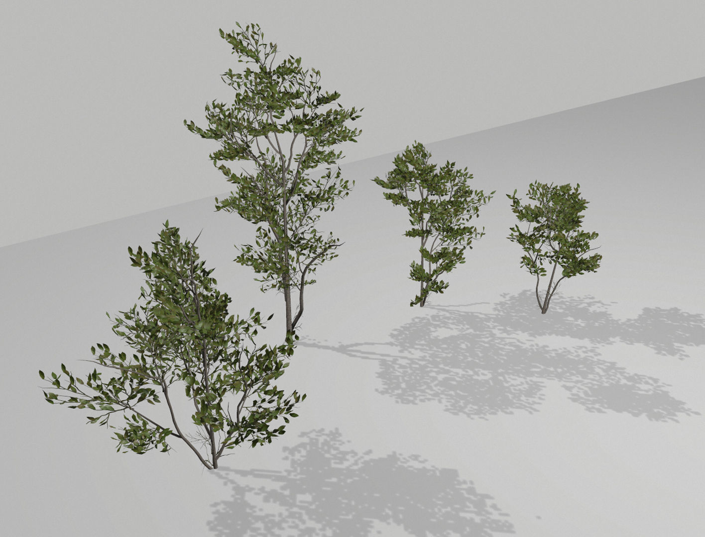 Little trees Low-poly 3D model_4
