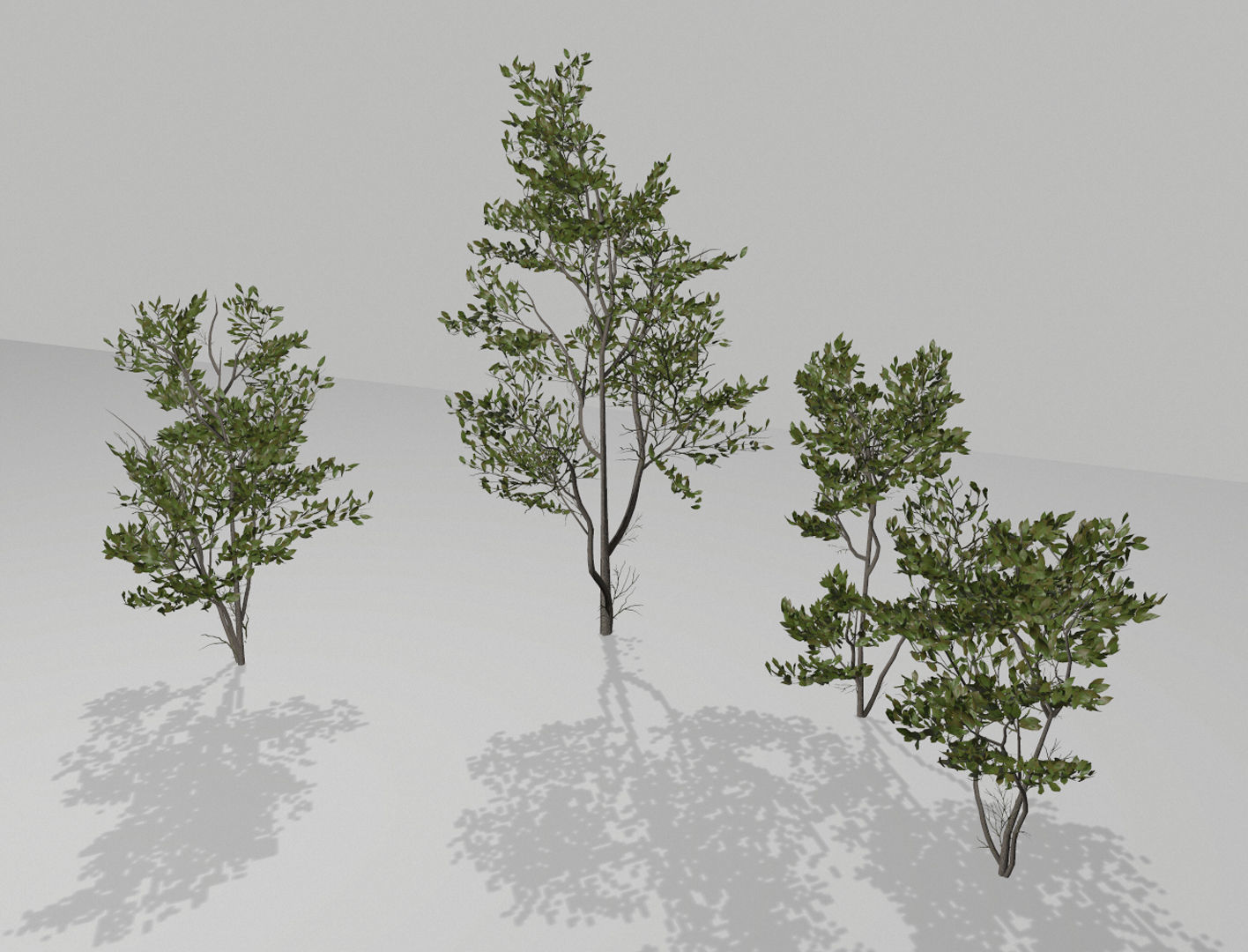 Little trees Low-poly 3D model_5