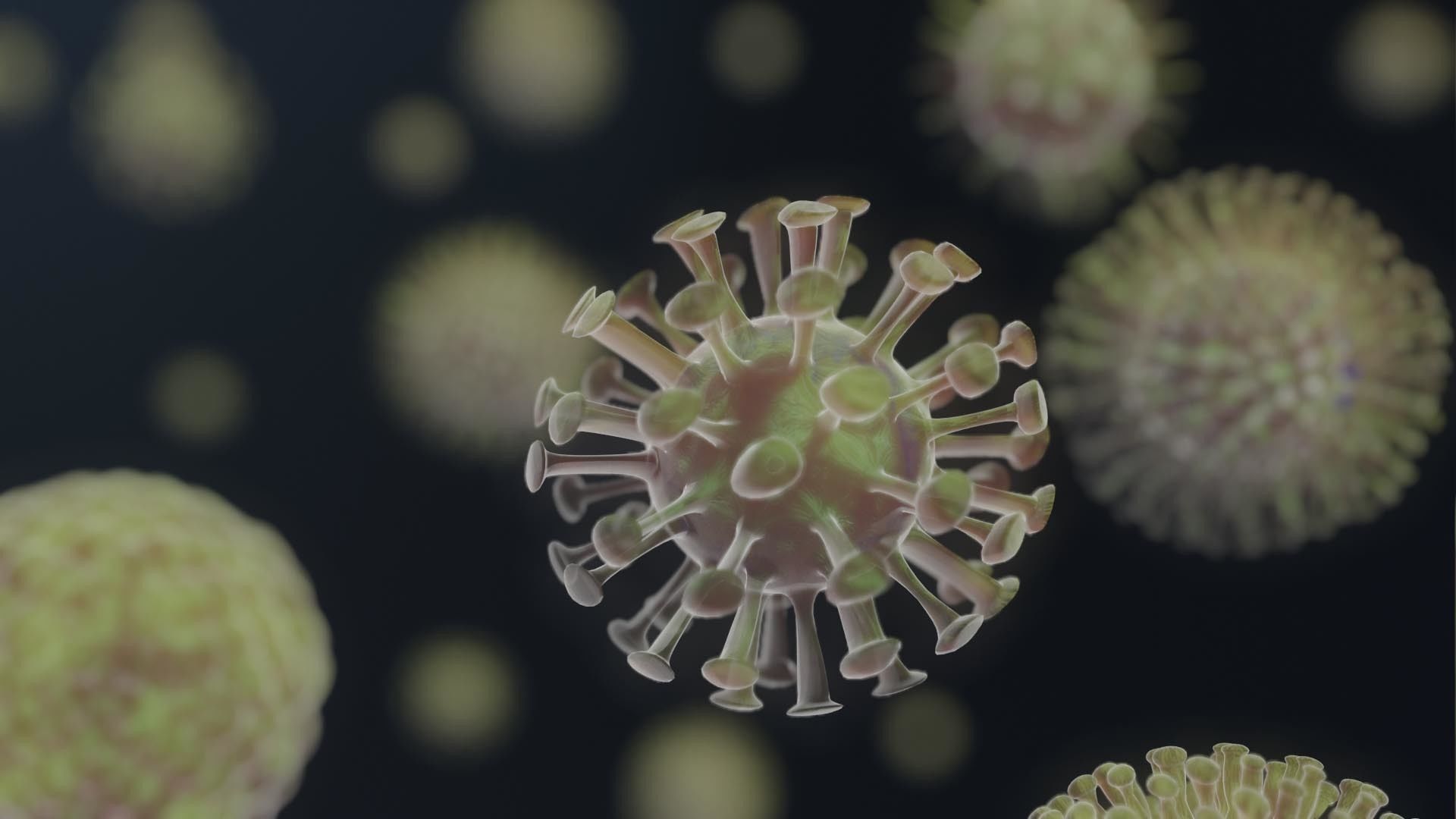 virus corvid-19 coronavirus corona Low-poly 3D model_3