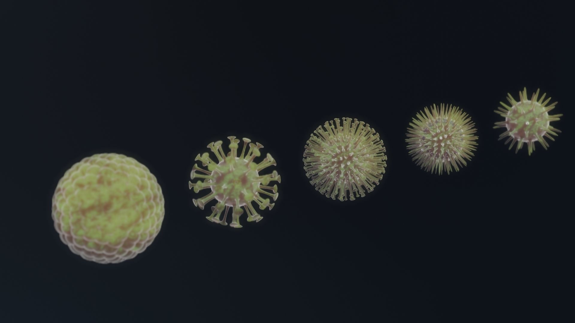 virus corvid-19 coronavirus corona Low-poly 3D model_7
