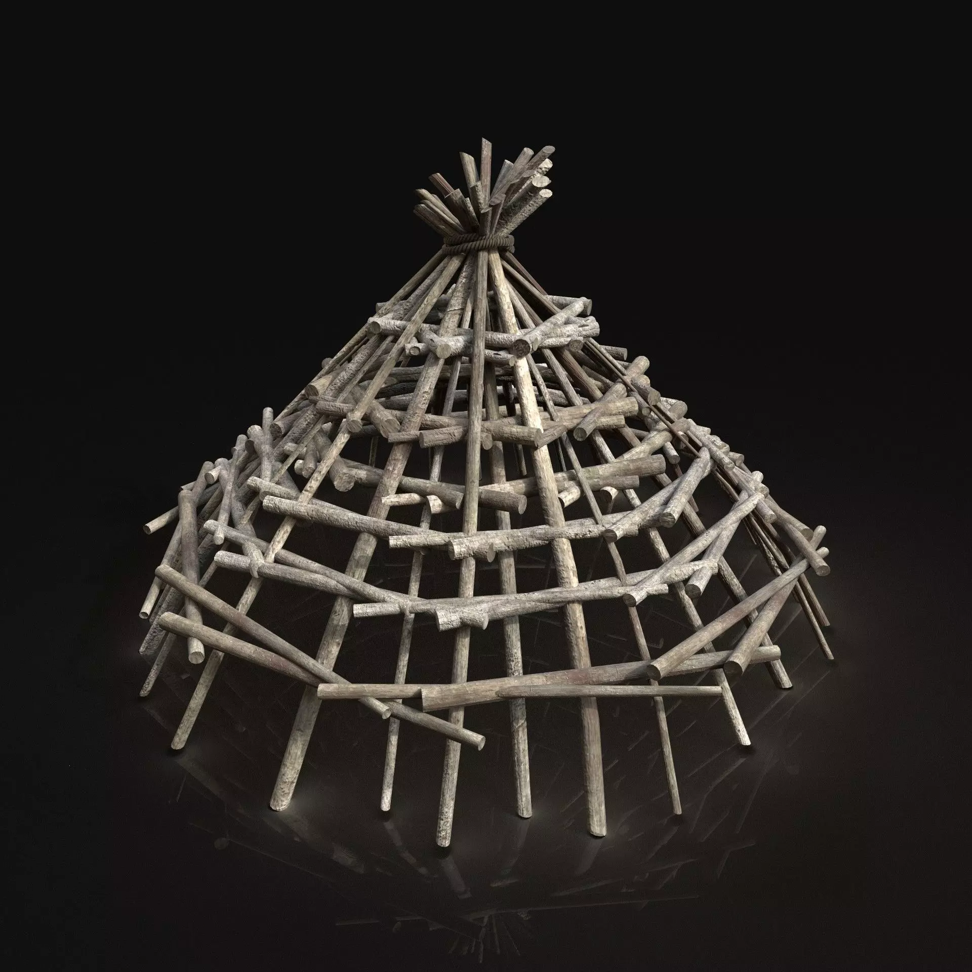 Next Gen AAA Improvised Fish Trap Animal Bird Cage Locker Low-poly 3D model_0