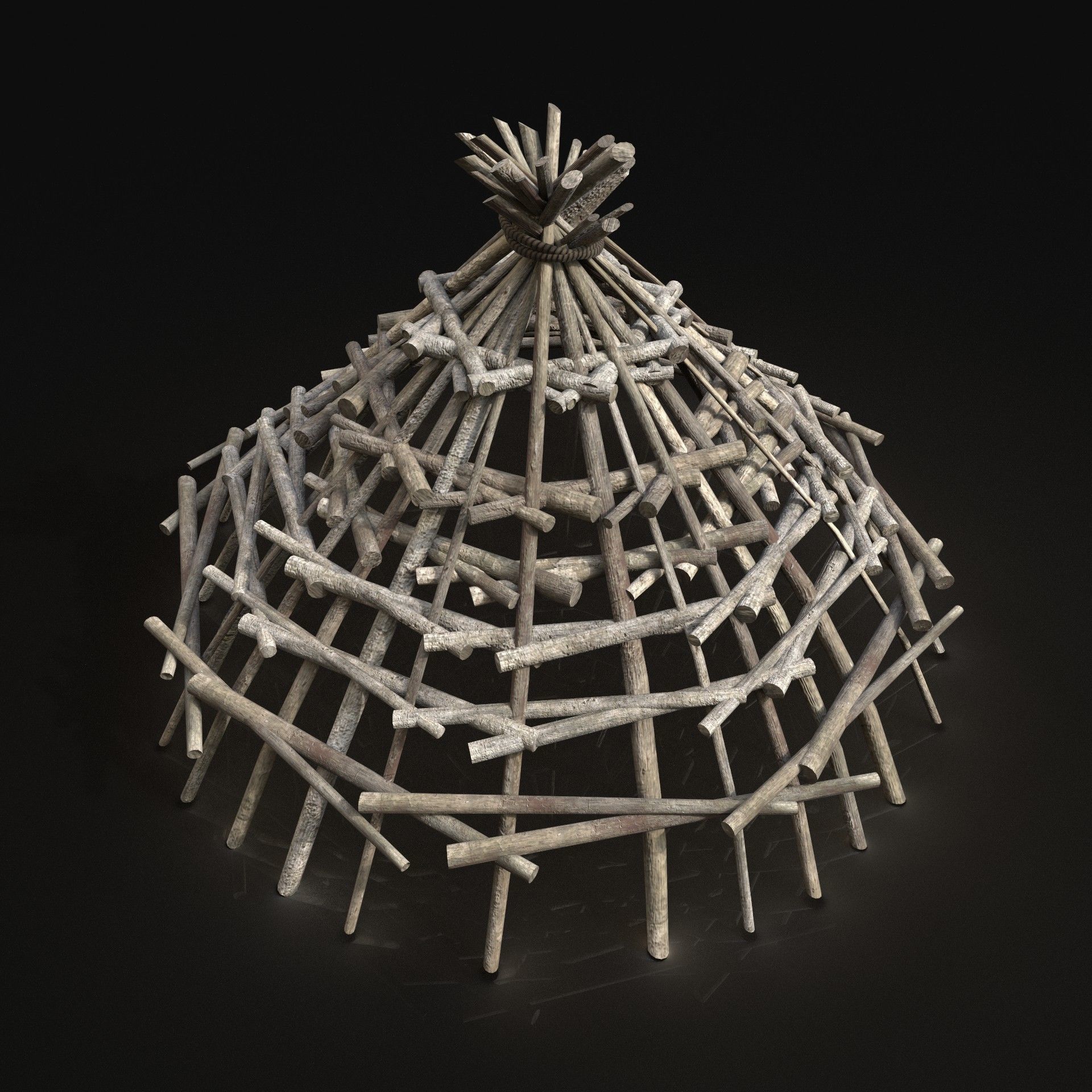 Next Gen AAA Improvised Fish Trap Animal Bird Cage Locker Low-poly 3D model_1