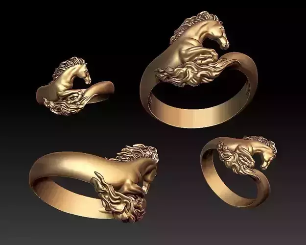 horse ring