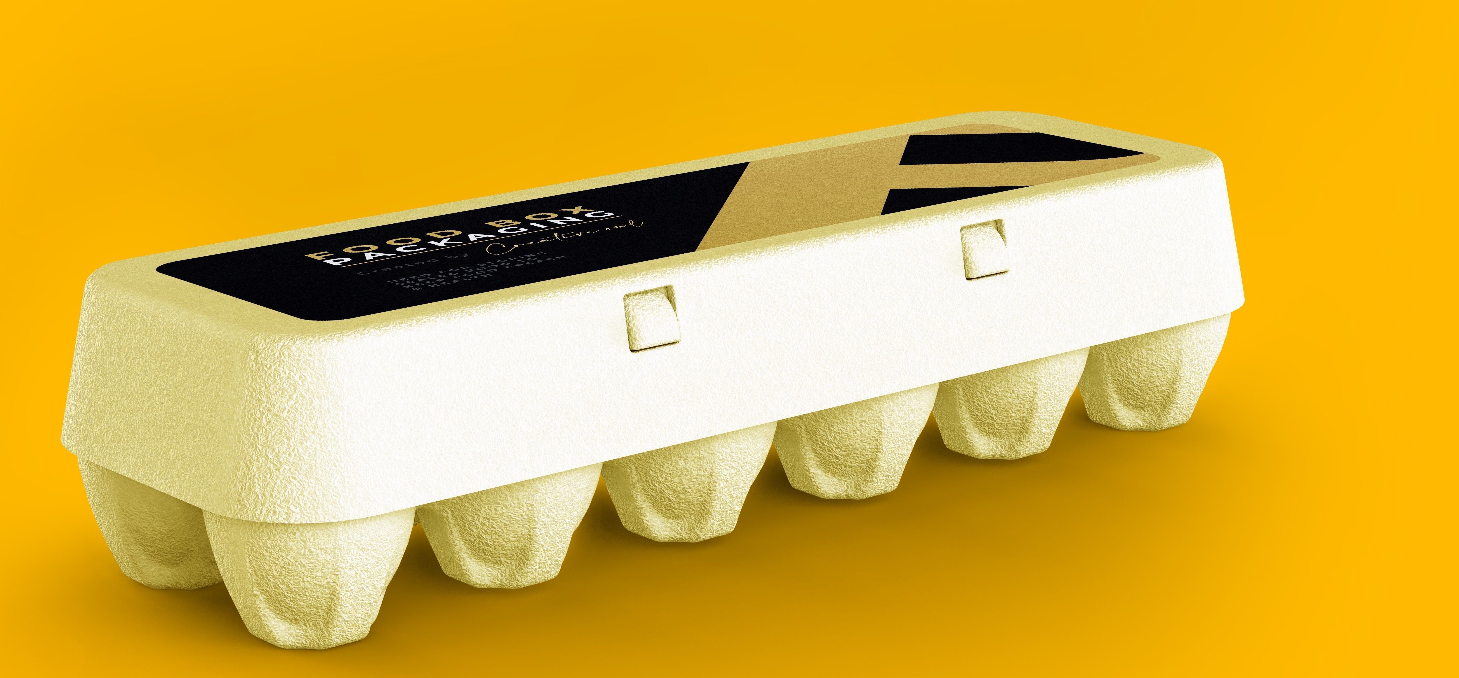 EGG DOZEN CARTON OPEN AND CLOSE  3D model_1