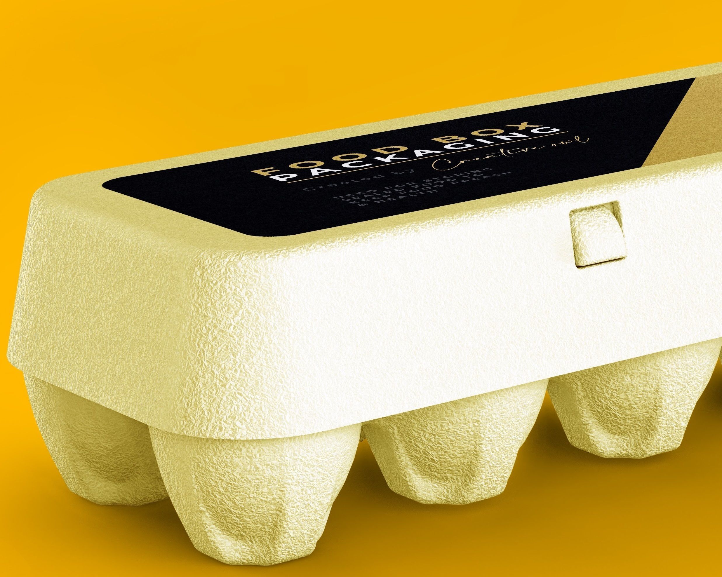 EGG DOZEN CARTON OPEN AND CLOSE  3D model_7
