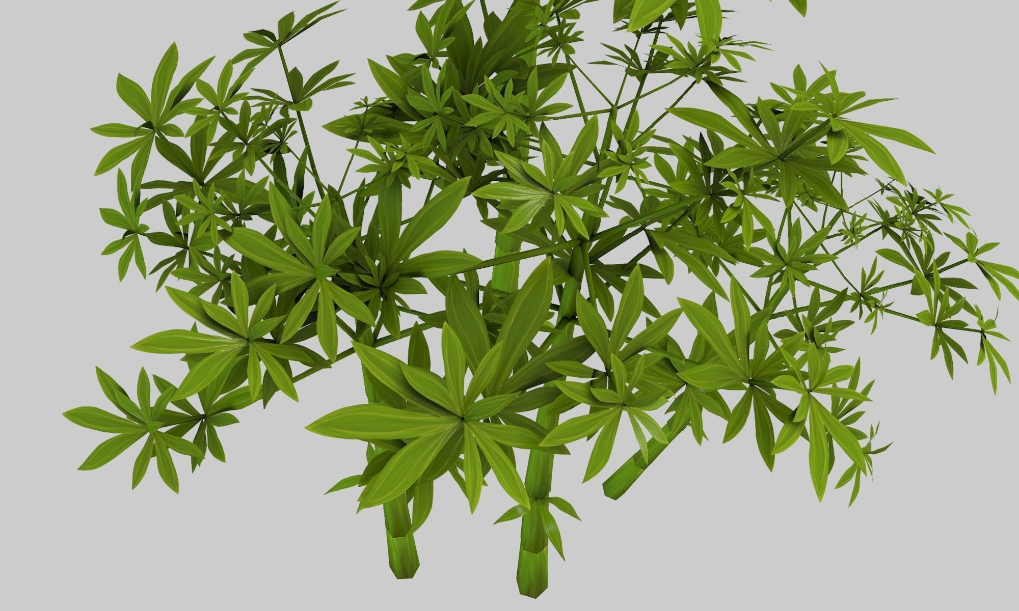 Low poly hand painted bamboo grove in cartoon style Low-poly 3D model_8