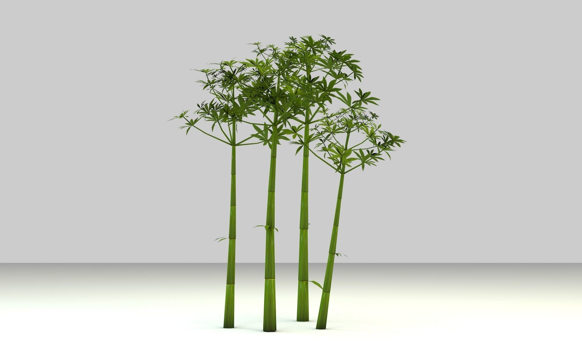 Low poly hand painted bamboo grove in cartoon style Low-poly 3D model_3