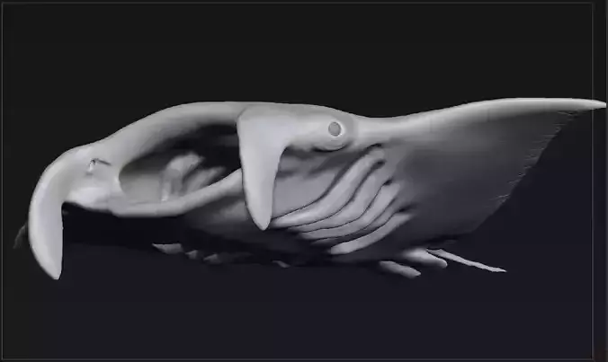 Manta Stingray Zbrush-obj