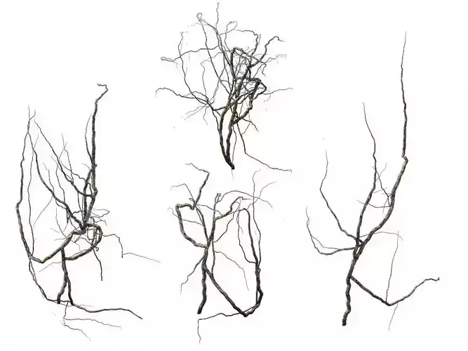 Game Model - prairie scene - Decorative Mikie 01