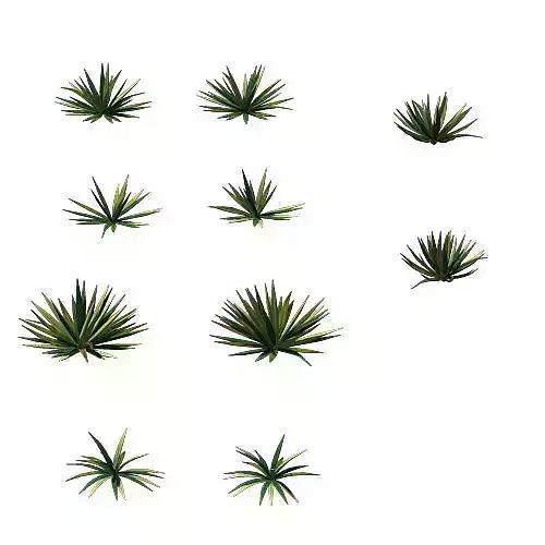 Game Model - prairie scene - Desert Plants 01