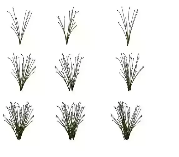 Game Model - prairie scene - Desert Plants 02 01