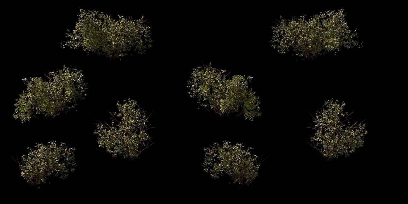 Game Model - prairie scene - Desert Plants 03 01 3D model_1