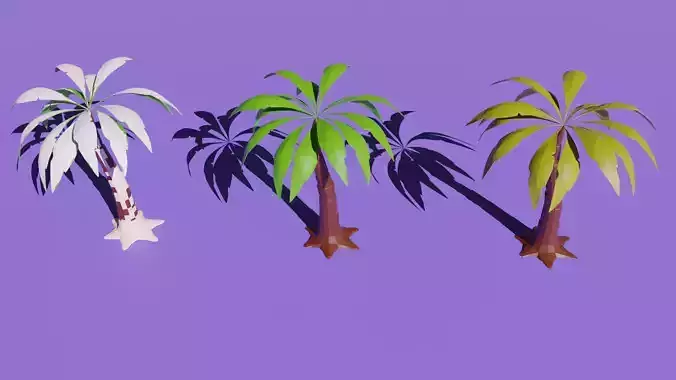 palm winter summer spring autumn