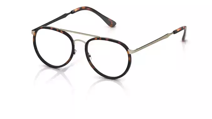 Eyeglasses for Men and Women 3D print model Eyeglasses for Men and Women 3D print model