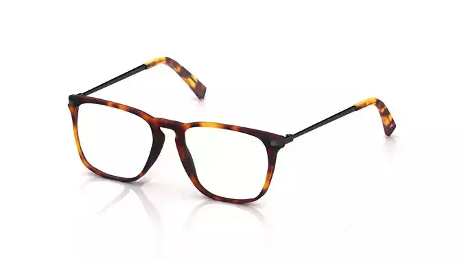Eyeglasses for Men and Women 3D print model