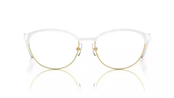 Eyeglasses for Men and Women 3D print model