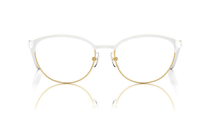Eyeglasses for Men and Women 3D print model