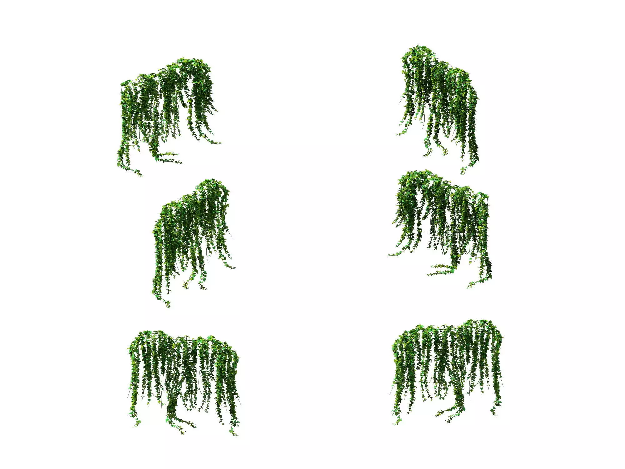 Game Model - prairie scene - ivy 01 01 3D model_0