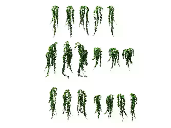 Game Model - prairie scene - ivy 02 01