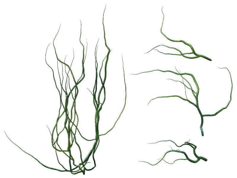 Game Model - prairie scene - ivy 2 01 3D model_1