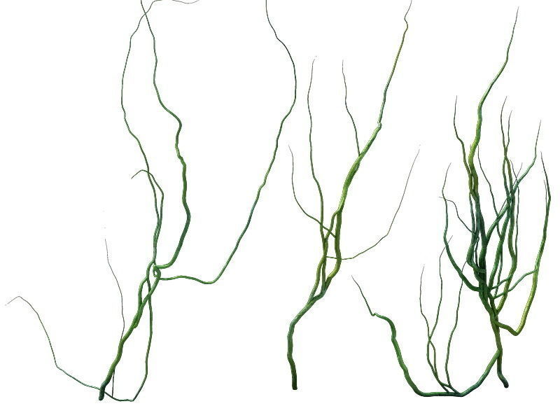 Game Model - prairie scene - ivy 2 01 3D model_4