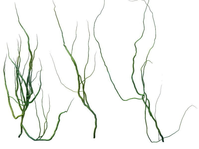 Game Model - prairie scene - ivy 2 01 3D model_3