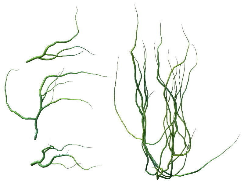 Game Model - prairie scene - ivy 2 01 3D model_2