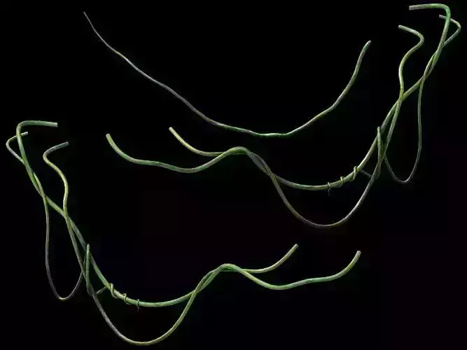 Game Model - prairie scene - ivy 2 01