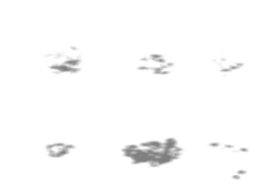 Model - prairie scene - long flower plants 02 01 3D model_1