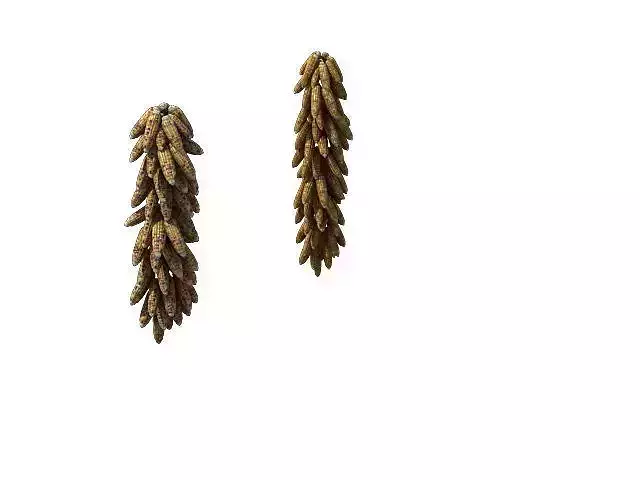 Game Model - prairie scene - maize sorghum 01