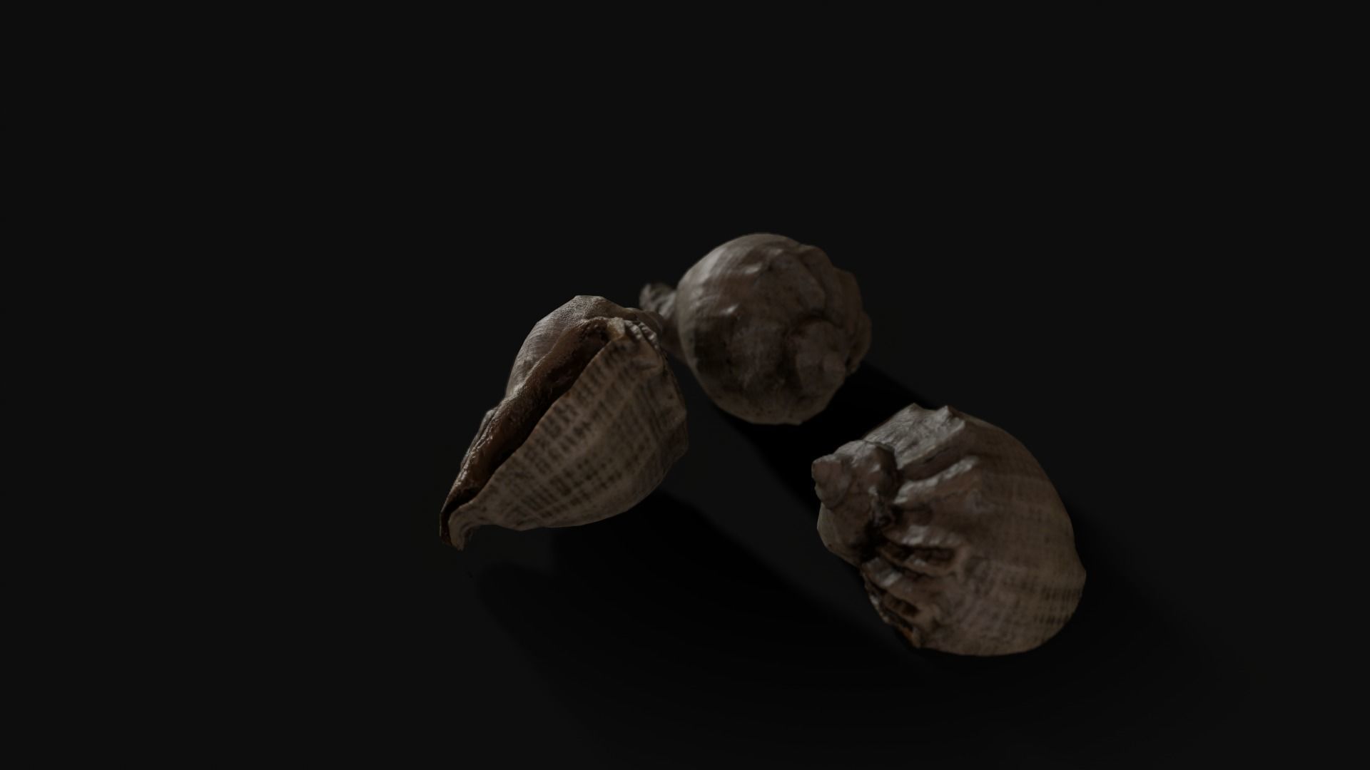 Seashell 8K Photogrammetry -  Game Ready asset Low-poly 3D model_6