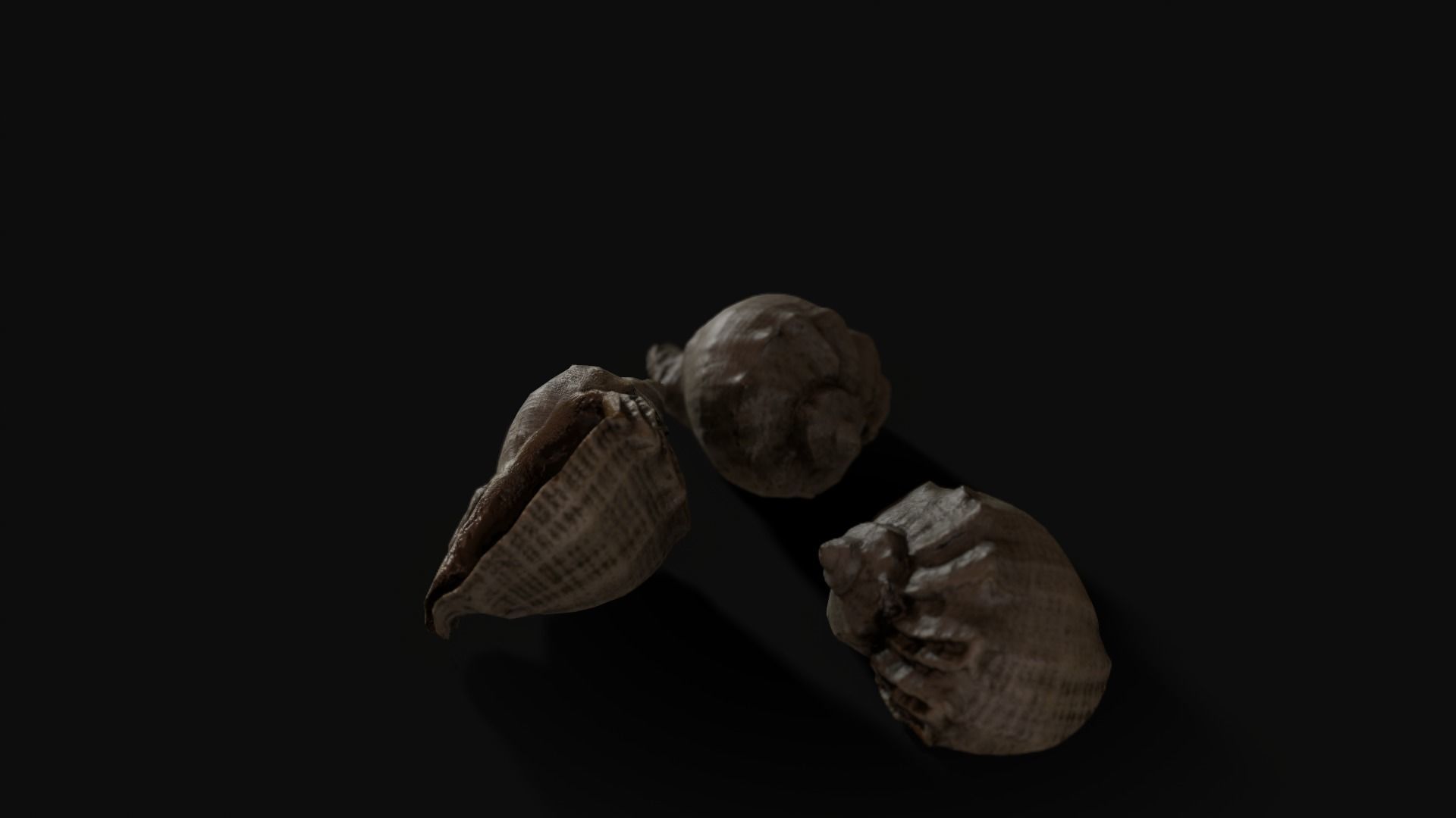 Seashell 8K Photogrammetry -  Game Ready asset Low-poly 3D model_5