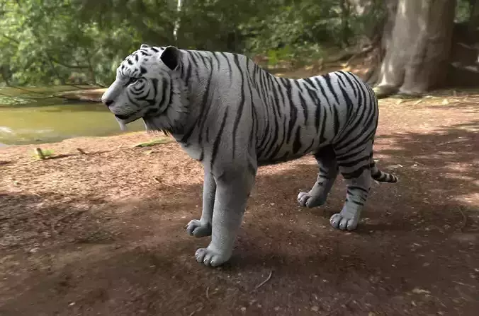 white tiger Low-poly 3D model
