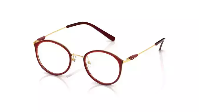 Eyeglasses for Men and Women 3D print model